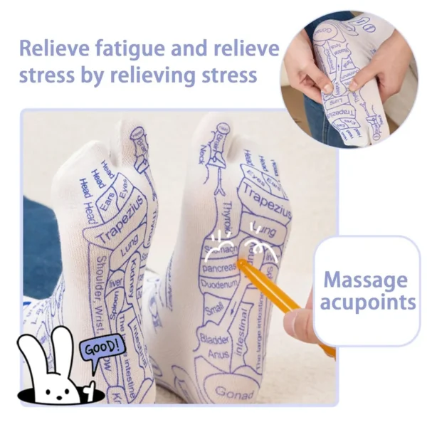 Reflexology Socks With Massage Stick For Women And Men, Printed Reflexology Chart of Both Sole - Image 6